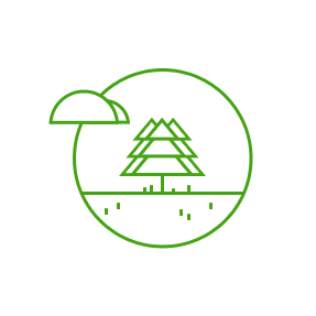 Оформление лесного участка